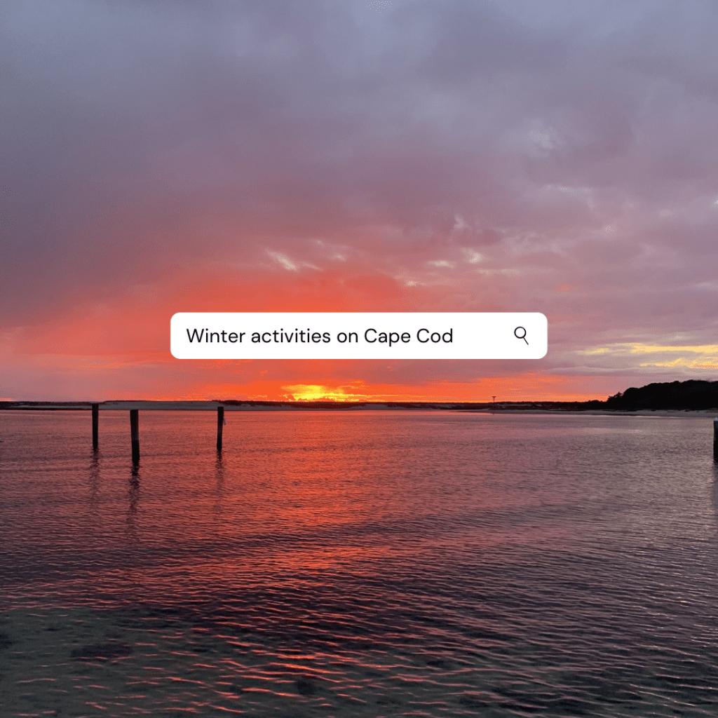Ideas for a Cape Cod&nbsp;Winter