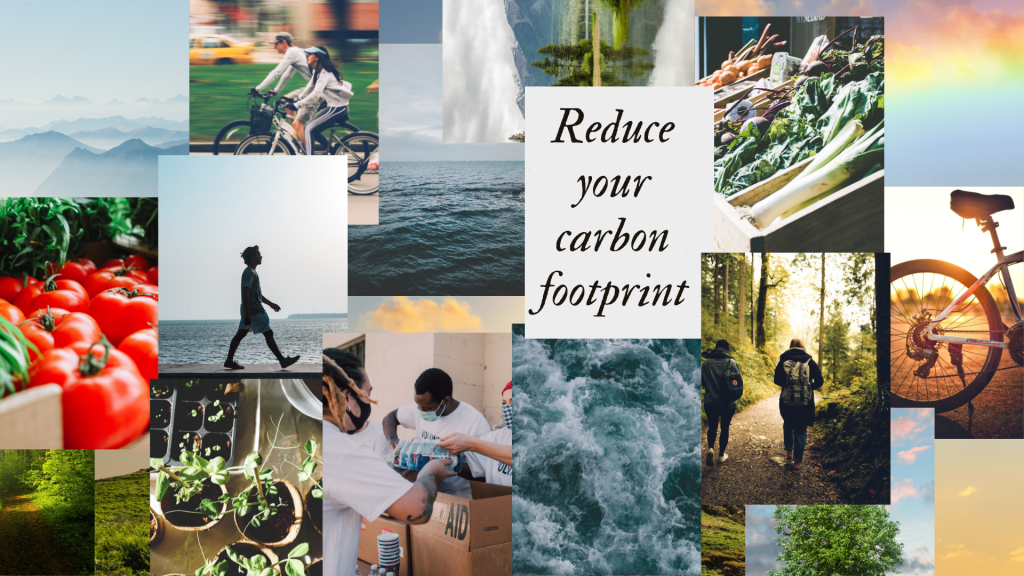 Give the Gift of Giving (…Back to your&nbsp;Environment)