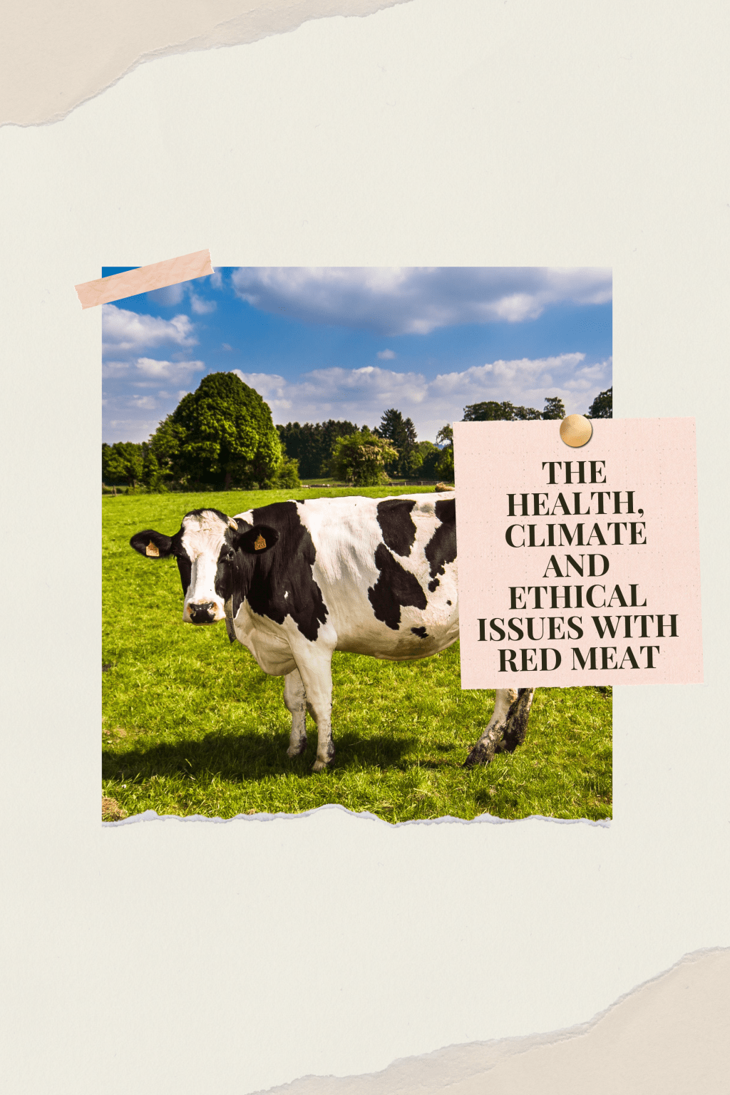 Reasons Why You Should Have a Beef with Beef